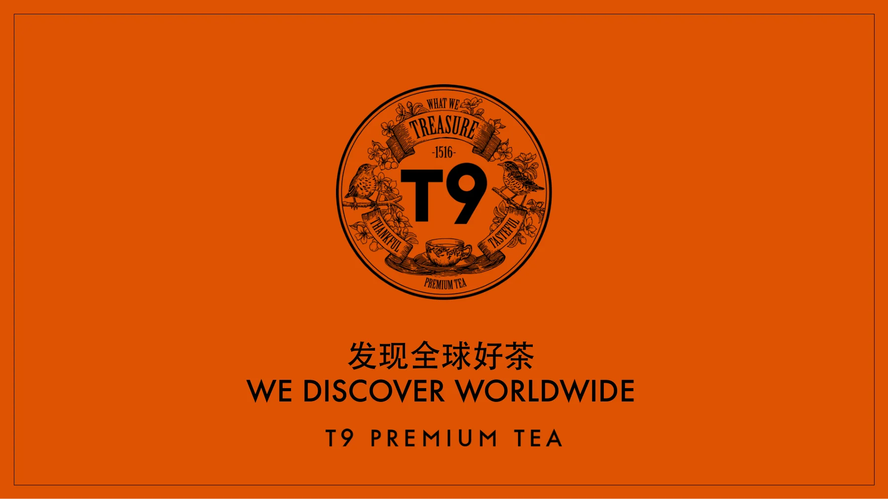 T9品牌手册，方案第1页